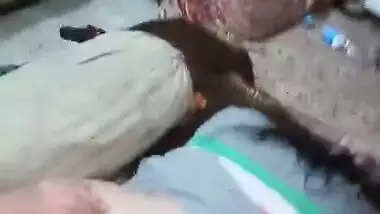 Big Ass Paki Wife Videos Updated Part 1